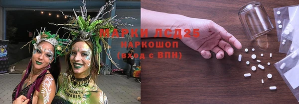 соль ск Новозыбков