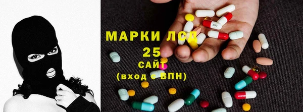 соль ск Новозыбков